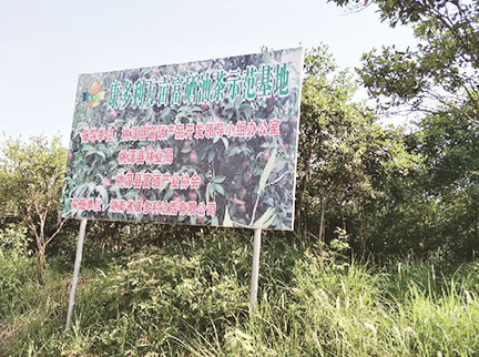 利来集团(中国)_来利国际w66俱乐部